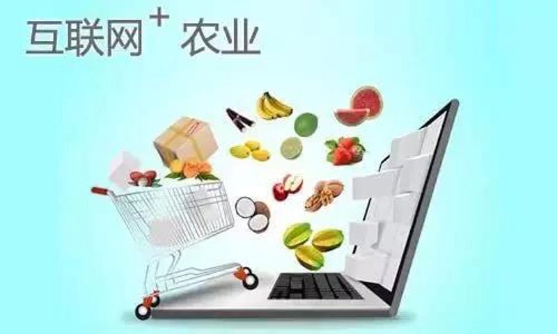 重庆凌艺建筑装饰工程有限公司:创新与传统碰撞下的装修新选择